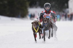 Lenzerheide 2013